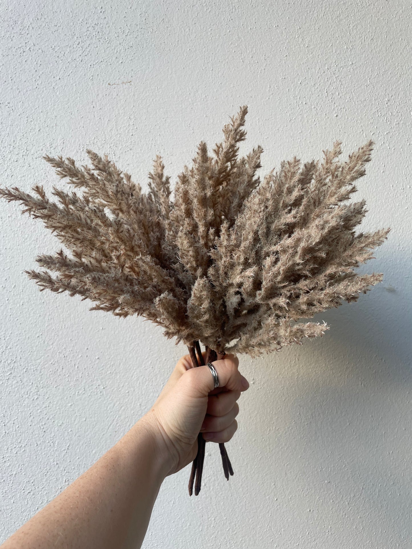 Mini Dried Pampass Grass Bundle, Light Brown