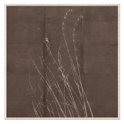 Fleeting Moment Series