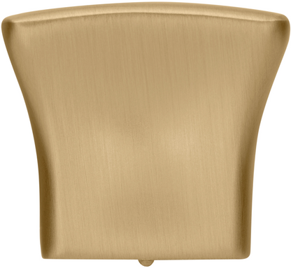 Tate Contemporary Knob